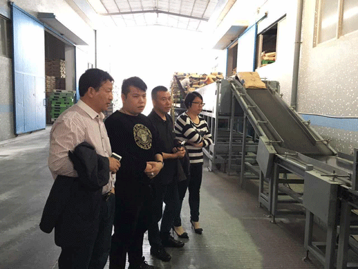 sungame988(中国)有限公司官网